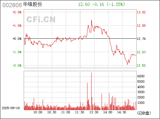 華鋒股份（股票代碼，002806）股吧深度解析，華鋒股份股票代碼（002806）股吧全面深度解析