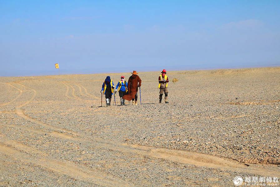 揭秘最準(zhǔn)一碼一肖，揭秘背后的秘密，鳳凰網(wǎng)獨(dú)家報(bào)道，獨(dú)家揭秘，最準(zhǔn)一碼一肖背后的秘密，鳳凰網(wǎng)權(quán)威報(bào)道