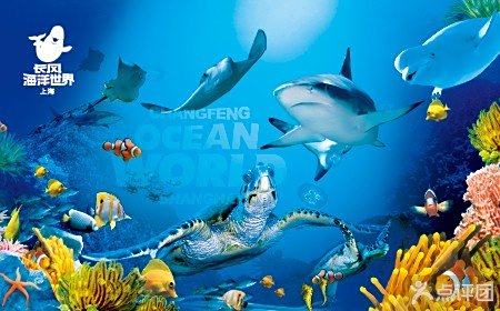 上海長風(fēng)公園海洋世界門票